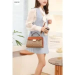 Coach Handbag For Women (BSF720) - stayhit.in