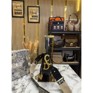 Elegant Christian Dior Saddle Shoulder Bag For Women (SOS487) - stayhit.in