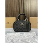 Elegant Coach Taupe Logo Mini Satchel Bag With Box For Women (BOT3983) - stayhit.in