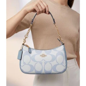 Elegant Coach Teri Hobo Bag Blue With Og Box For Women (BOT3996) - stayhit.in