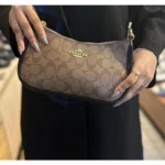 Elegant Coach Teri Shoulder Bag With Og Box For Women (BOT3981) - stayhit.in