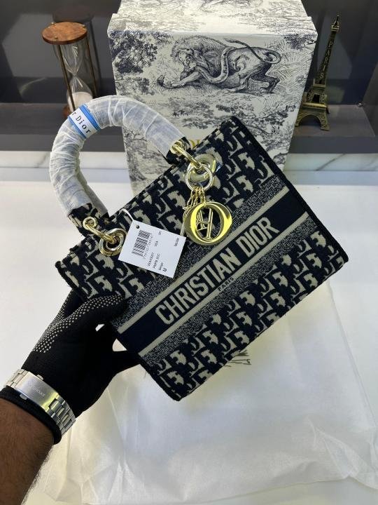 Elegant Dior Handbag With Og Box For Women (BOT3979) - stayhit.in Elegant Dior Handbag With Og Box For Women (BOT3979) - stayhit.in