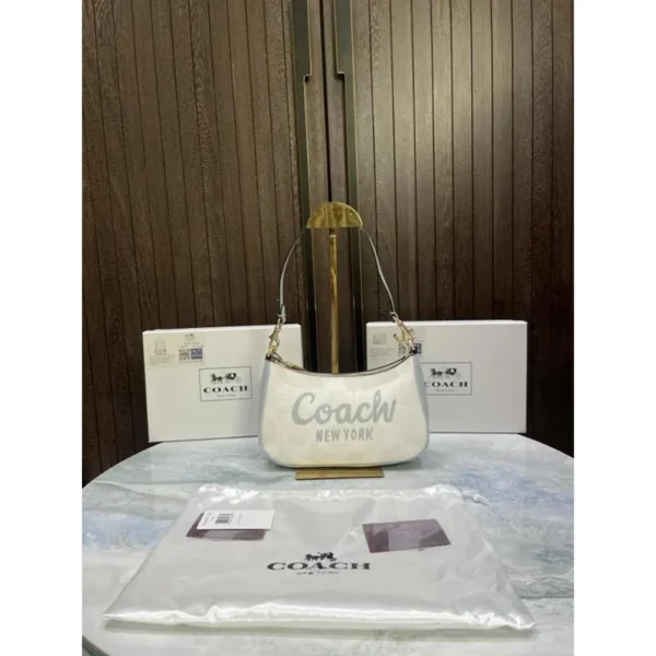 Luxurious Coach Teri Mini Crossbody Bag With Og Box For Women (SUP8236) - stayhit.in Luxurious Coach Teri Mini Crossbody Bag With Og Box For Women (SUP8236) - stayhit.in