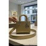 Luxury Christian Dior Handbag Edition With Brand Box For Women (BOT2624) - stayhit.in