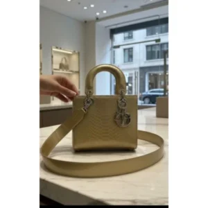 Luxury Christian Dior Handbag Edition With Brand Box For Women (BOT2624) - stayhit.in