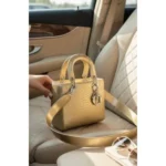 Luxury Christian Dior Handbag Edition With Brand Box For Women (BOT2624) - stayhit.in