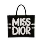 Luxury Christian Dior Tote Bag With Og Box For Women (BT265) - stayhit.in