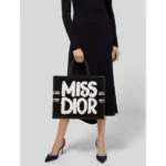 Luxury Christian Dior Tote Bag With Og Box For Women (BT265) - stayhit.in
