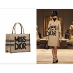 Luxury Christian Dior Tote Bag With Og Box For Women (BT267) - stayhit.in