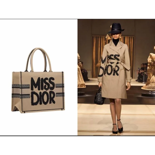 Luxury Christian Dior Tote Bag With Og Box For Women (BT267) - stayhit.in