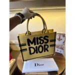 Luxury Christian Dior Tote Bag With Og Box For Women (BT268) - stayhit.in