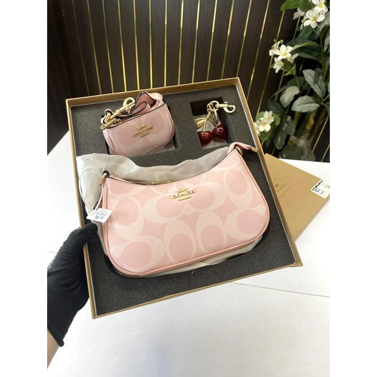 Luxury Coach Teri Combo Handbag With Small Pouch And Charm For Women (BOT3803) - stayhit.in