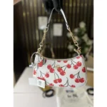 Luxury Coach Teri Hobo Bag White With Og Box For Women (BOT4001) - stayhit.in