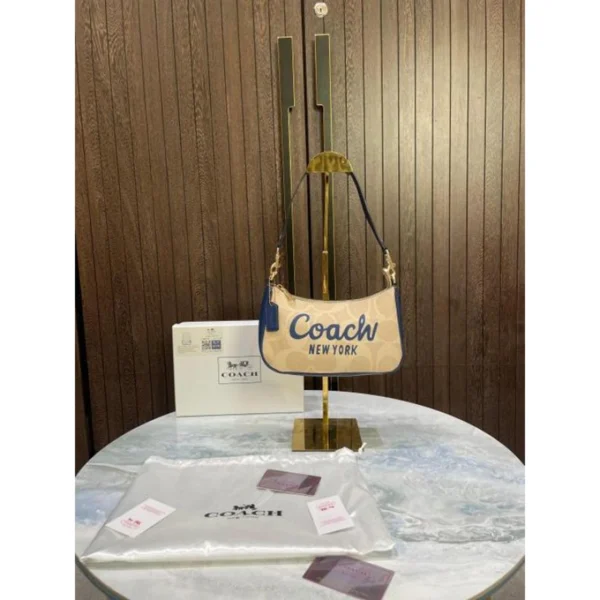 Luxury Coach Teri Mini Crossbody Bag With Og Box For Women (BOT4014) - stayhit.in