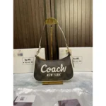 Luxury Coach Teri Mini Crossbody Bag With Og Box For Women (BOT4016) - stayhit.in