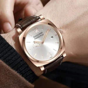 Luxury Panerai Radiomir Watch Brown For Men (FGS139) - stayhit.in