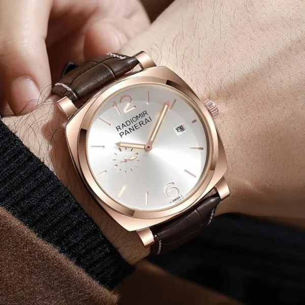 Luxury Panerai Radiomir Watch Brown For Men (FGS139) - stayhit.in
