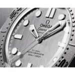 Omega Seamaster Diver 300M Watch Grey For Men