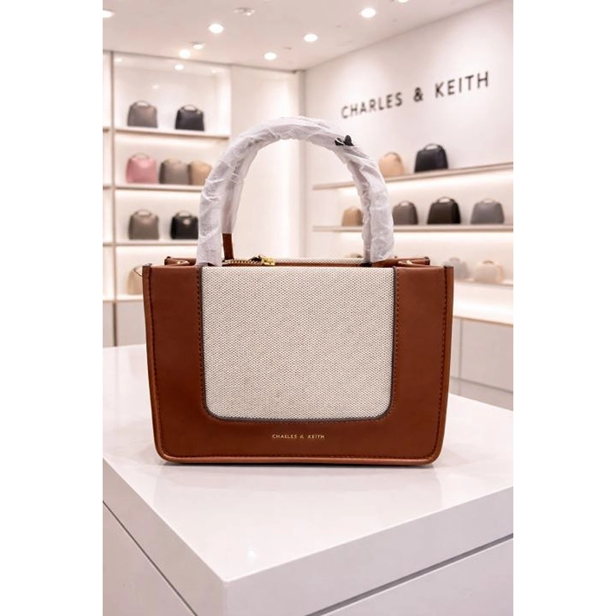 Premium Charles & Keith Daylla Tote Bag With Box For Women (LAB366) - stayhit.in