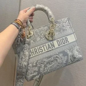 Premium Christan Dior Handbag With Og Box For Women (BSF1696) - stayhit.in