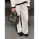 Premium Christan Dior Handbag With Og Box For Women (BSF1697) - stayhit.in