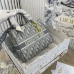 Premium Christian Dior Bag With Box For Women (SUP8151) - stayhit.in