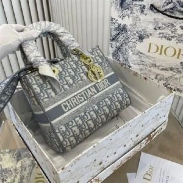Premium Christian Dior Bag With Box For Women (SUP8151) - stayhit.in