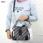 Premium Christian Dior Bucket Sling Bag For Women (LAB1016) - stayhit.in