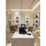 Premium Christian Dior Handbag Glossy With Magnetic Box For Women (BT291) - stayhit.in