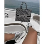 Premium Christian Dior Tote Bag With Box For Women (SUP8161) - stayhit.in