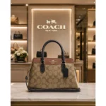 Premium Coach Darcie Handbag Carryall Canvas Apricot For Women (BOT2810) - stayhit.in