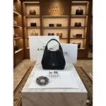 Premium Coach Hadley 21 Hobo Bag With Og Box Carrybag For Women (BT130) - stayhit.in