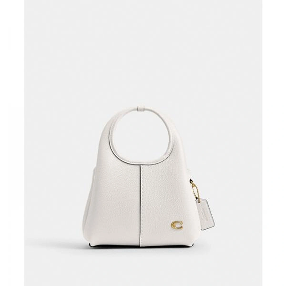 Premium Coach Lana Shoulder Bag With Box For Women (BOT2739) - stayhit.in