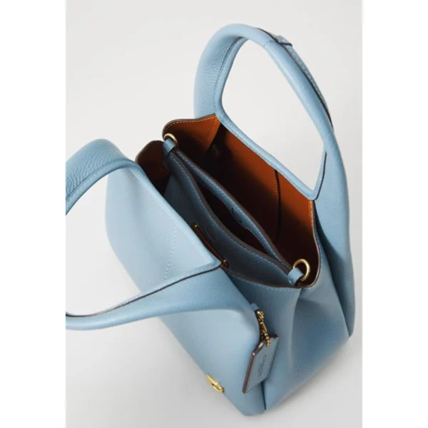 Premium Coach Lana Shoulder Bag With Box For Women (BOT2797) - stayhit.in