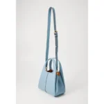 Premium Coach Lana Shoulder Bag With Box For Women (BOT2797) - stayhit.in