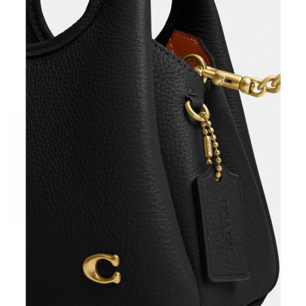 Premium Coach Lana Shoulder Bag With Box For Women (BOT2800) - stayhit.in