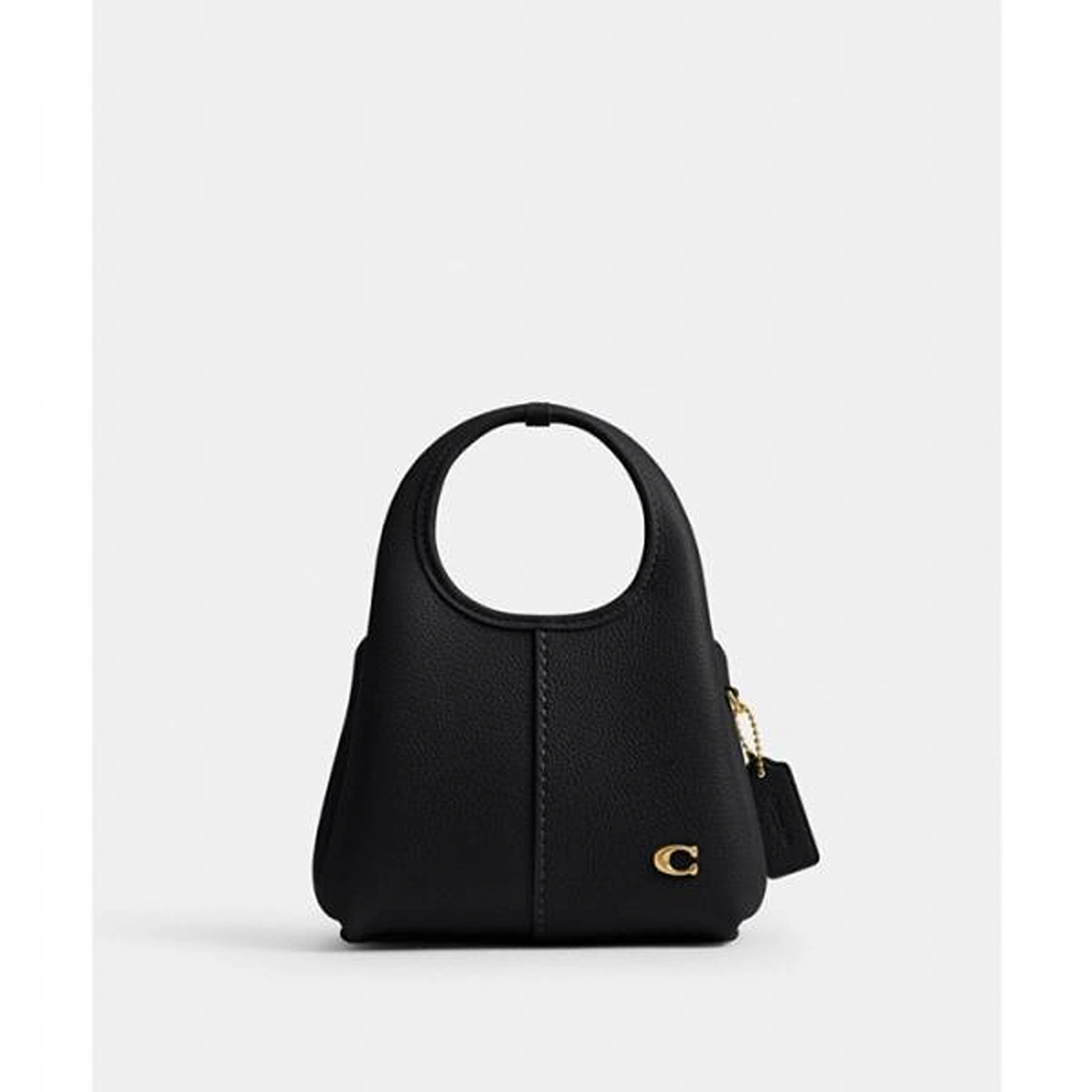 Premium Coach Lana Shoulder Bag With Box For Women (BOT2800) - stayhit.in