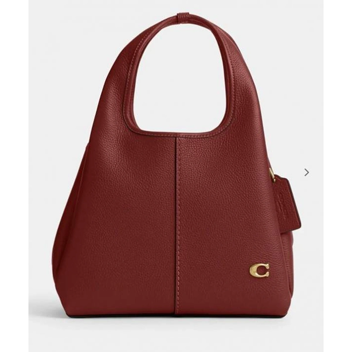 Premium Coach Lana Shoulder Bag With Box For Women (BOT3841) - stayhit.in