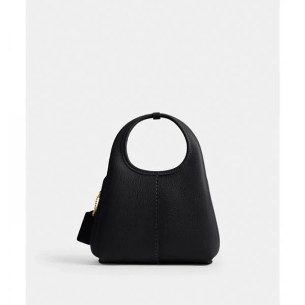 Premium Coach Lana Shoulder Bag With Box For Women (BOT3843) - stayhit.in