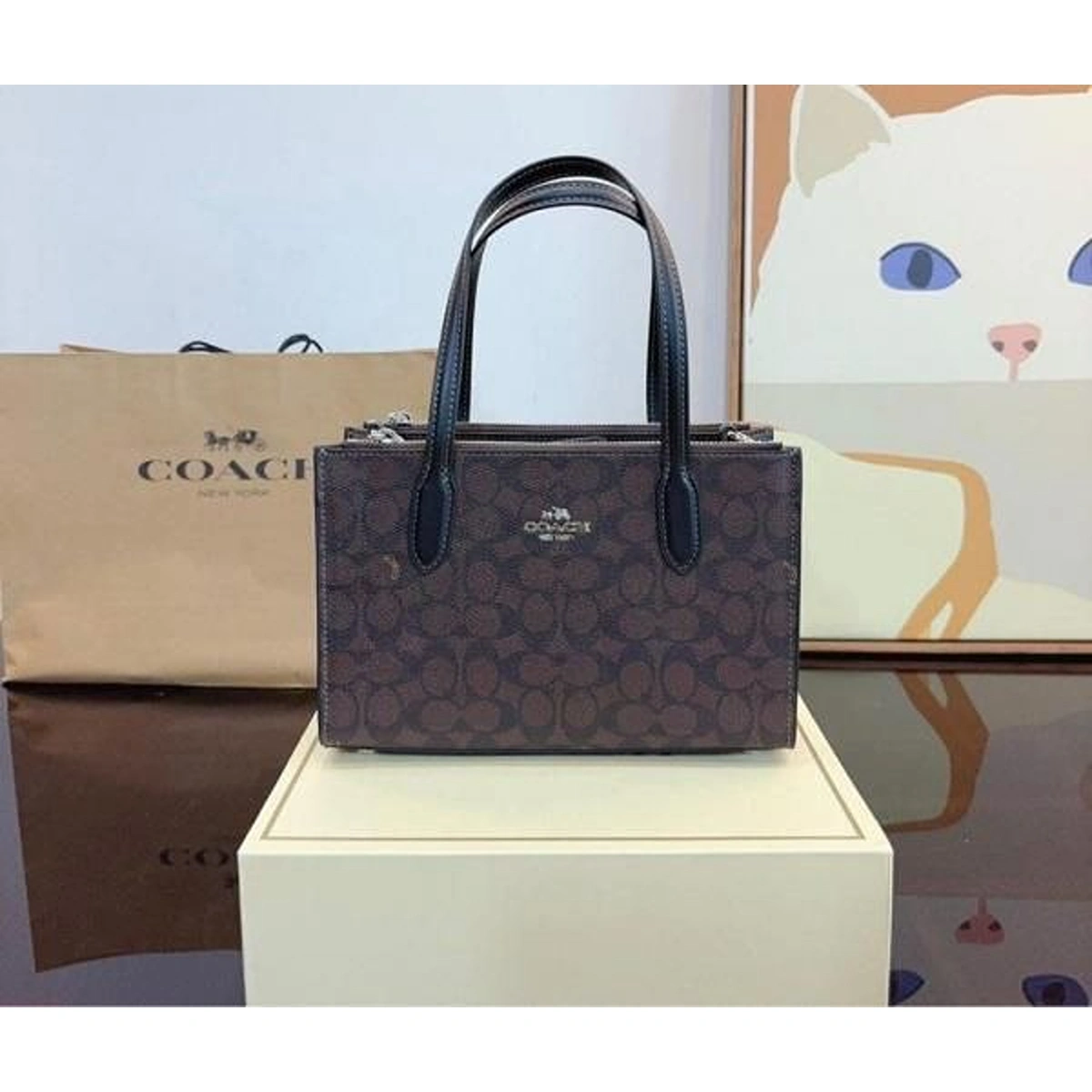 Premium Coach Mini Nina Tote Bag For Women (LAB809) - stayhit.in Premium Coach Mini Nina Tote Bag For Women (LAB809) - stayhit.in