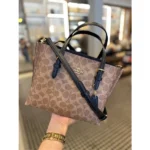 Premium Coach Mollie Tote Bag Apricot With Og Box Dust Cover For Women (BT244) - stayhit.in