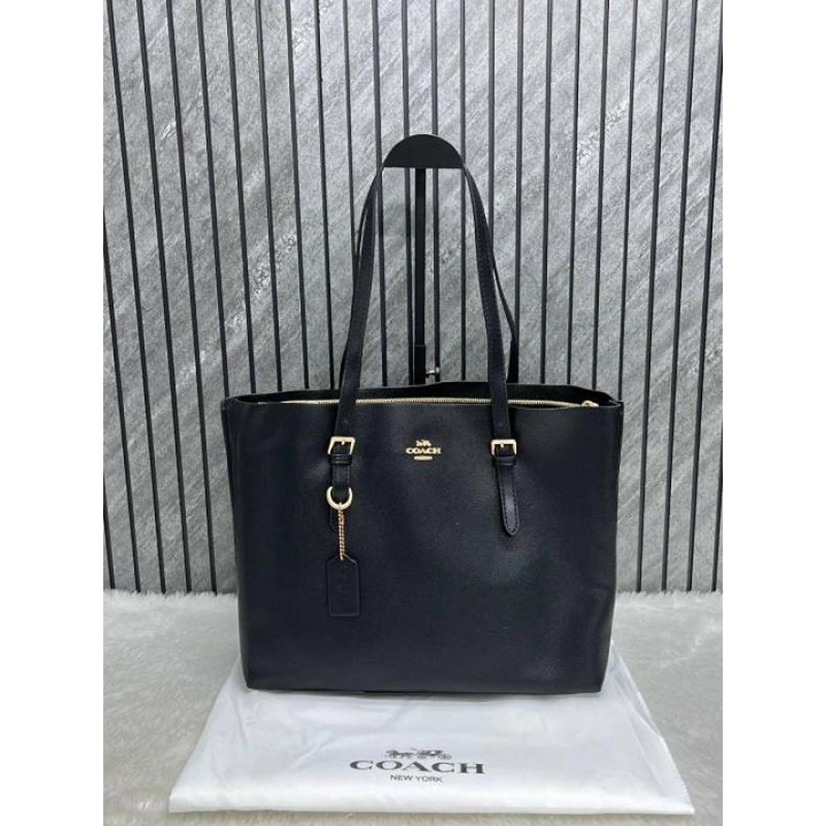 Premium Coach Mollie Tote Bag Signature For Women (BOT2859) - stayhit.in Premium Coach Mollie Tote Bag Signature For Women (BOT2859) - stayhit.in
