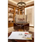 Premium Coach Signature City Tote Bag Dust Bag For Women (BOT2580) - stayhit.in