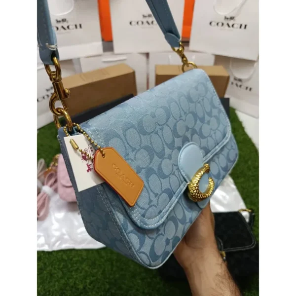 Premium Coach Soft Tabby Shoulder Bag With Og Box Dust Bag For Women (BT01) - stayhit.in Premium Coach Soft Tabby Shoulder Bag With Og Box Dust Bag For Women (BT01) - stayhit.in