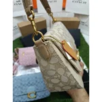 Premium Coach Soft Tabby Shoulder Bag With Og Double Box Dust Bag For Women (BT06) - stayhit.in