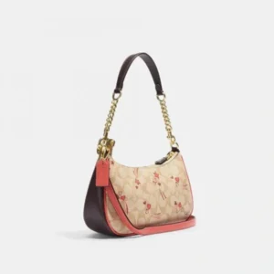 Premium Coach Teri Shoulder Bag With Heart And Star Print For Women (BOT2596) - stayhit.in