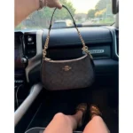 Premium Coach Teri Shoulder Bag With Og Box For Women (BOT2842) - stayhit.in