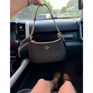Premium Coach Teri Shoulder Bag With Og Box For Women (BOT2842) - stayhit.in