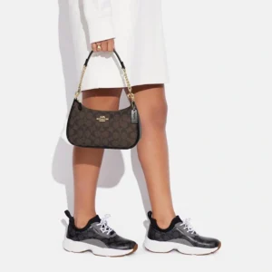 Premium Coach Teri Shoulder Bag With Og Box For Women (BOT4034) - stayhit.in