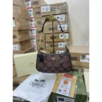 Premium Coach Teri Shoulder Bag With Og Box For Women (BOT4036) - stayhit.in
